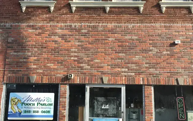 Millie's Pooch Pawlor in Port Jervis, NY