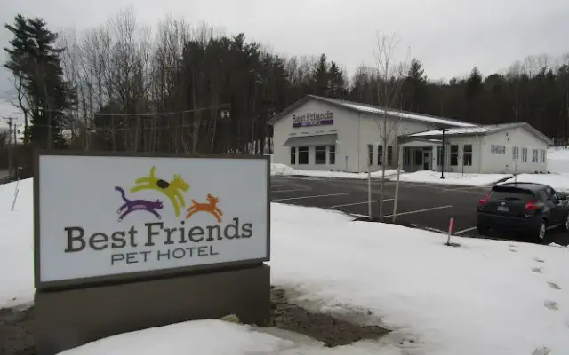 Best Friends Pet Hotel in Tyngsborough, MA
