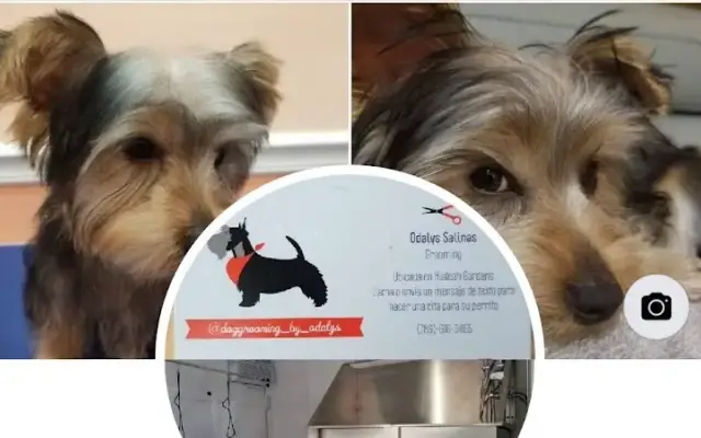 Odalys Mobile Grooming Corp in Miami, FL