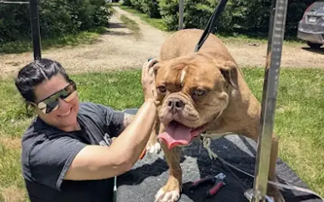 Pop-Up Pet Services in Charlottesville, VA