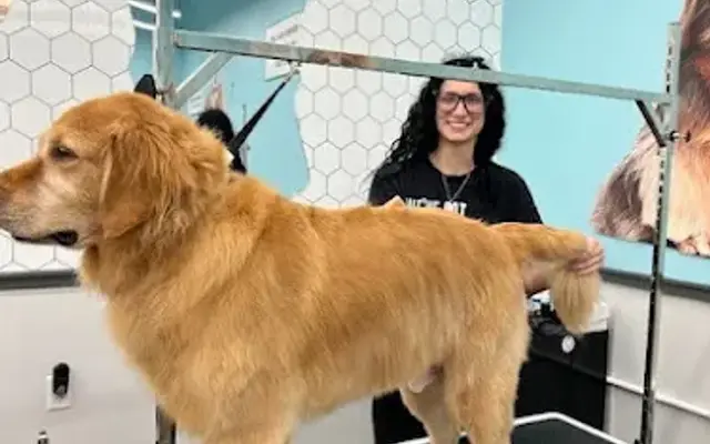 Pet Supplies Plus Cape Girardeau Grooming in Cape Girardeau, MO