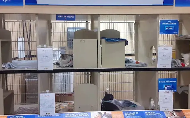 PetSmart Grooming in Yuma, AZ