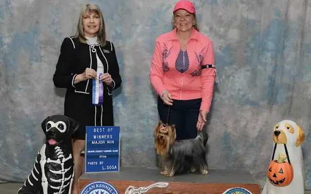 Fancy Furs Pet Styles in Durham, CA