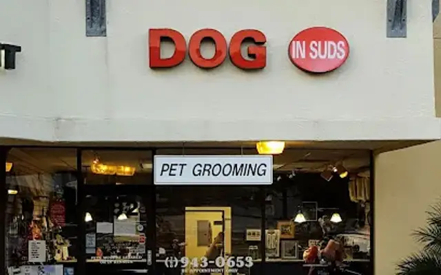 Dog In Suds in Encinitas, CA