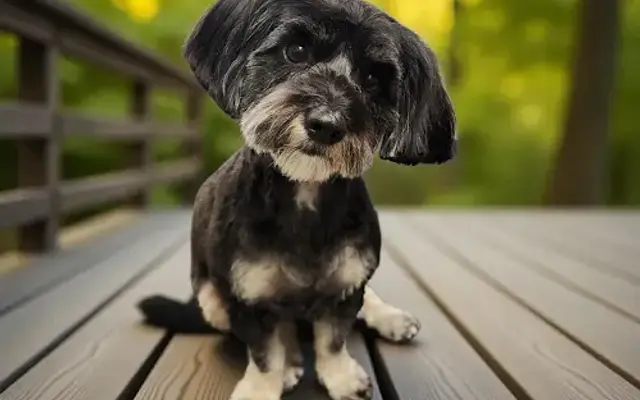 The Lather Lounge in Midland, MI