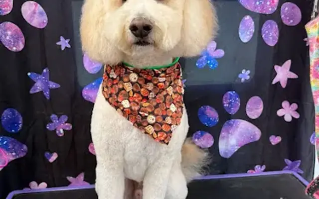 Wiggle Butt Grooming LLC in Christiana, TN