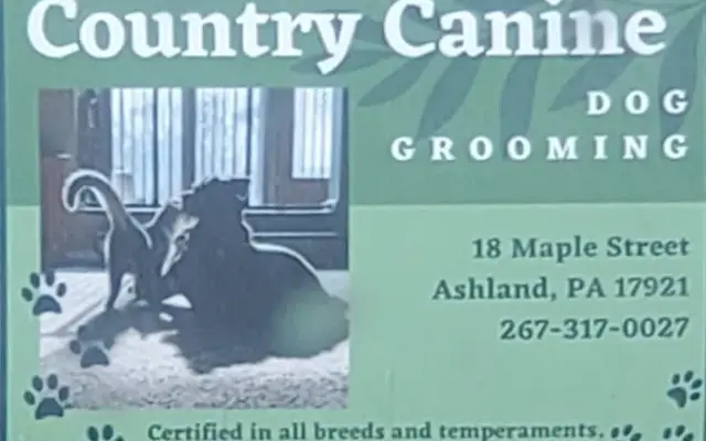 Country Canine Dog Grooming in Ashland, PA