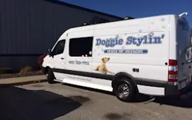 Doggie Stylin' Mobile Pet in Corona, CA