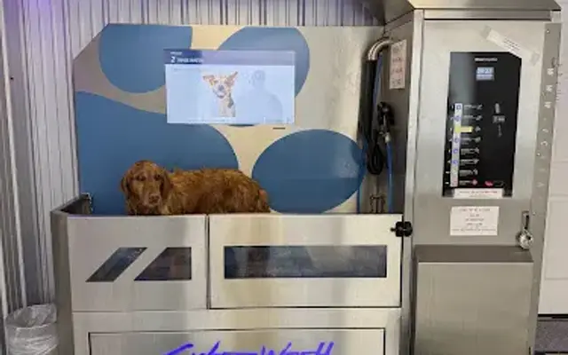 Self Serve Dog Wash in Newport, NH