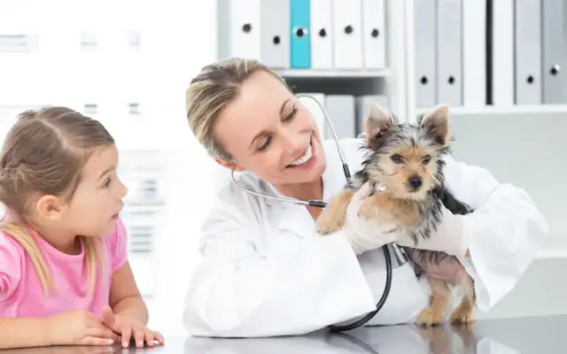 Animal Medical Center in Iuka, MS