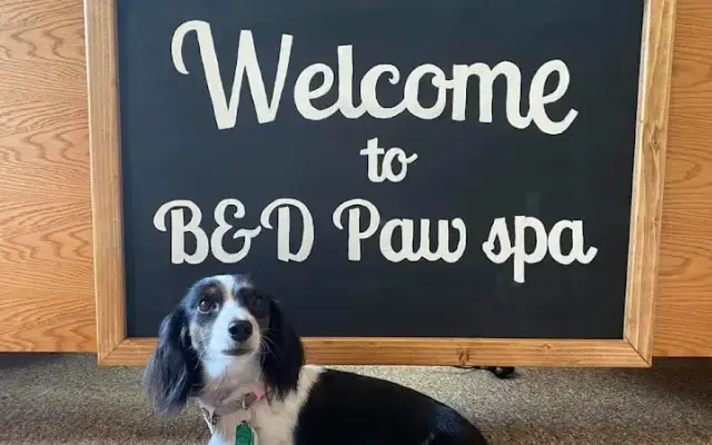 B & D Paw Spa in Sugarcreek, OH