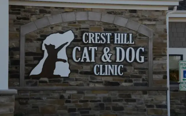Crest Hill Cat and Dog in Crest Hill, IL
