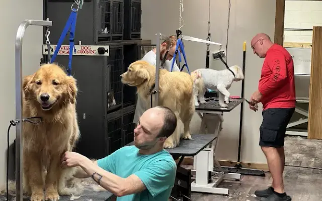 Rivers Edge Dog Grooming & Dog Boarding in Morrow, OH
