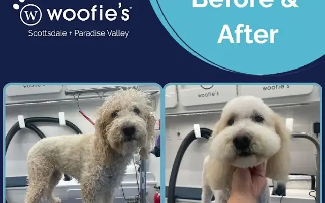 Woofie’s® of Scottsdale & Paradise Valley in Scottsdale, AZ