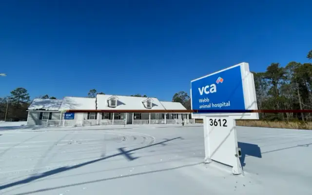 VCA Webb Animal Hospital in Rincon, GA