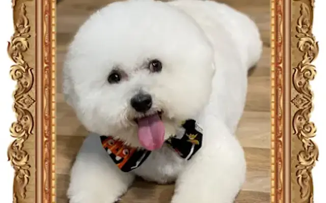 Max's Natural Pet Market & Salon New Tampa in Tampa, FL