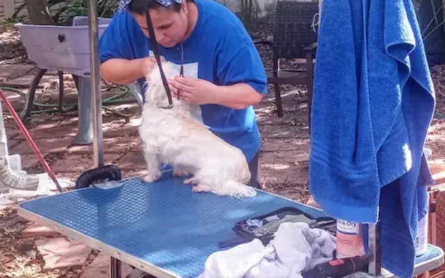 Heavenly Paws Grooming and Spa LLC in Kissimmee, FL