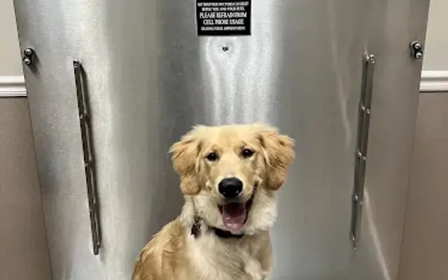 Allatoona Animal Hospital in Woodstock, GA