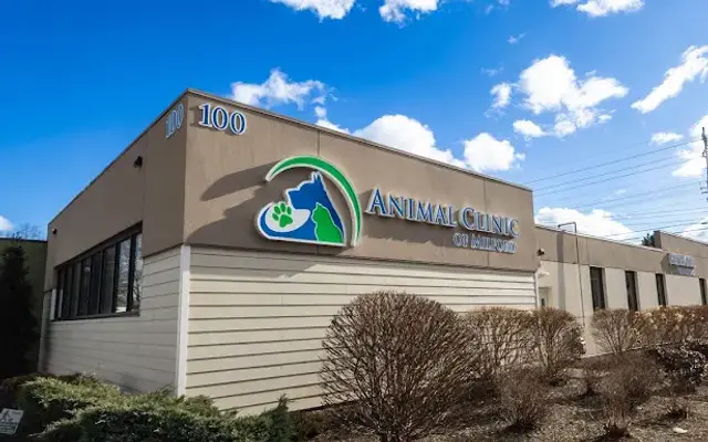 Animal Clinic of Milford in Milford, CT
