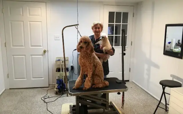 irinas dog grooming in Richmond Heights, OH