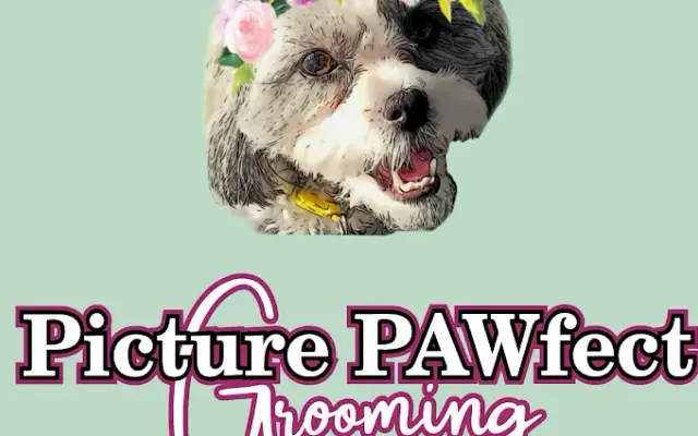 Picture PAWfect in Staten Island, NY