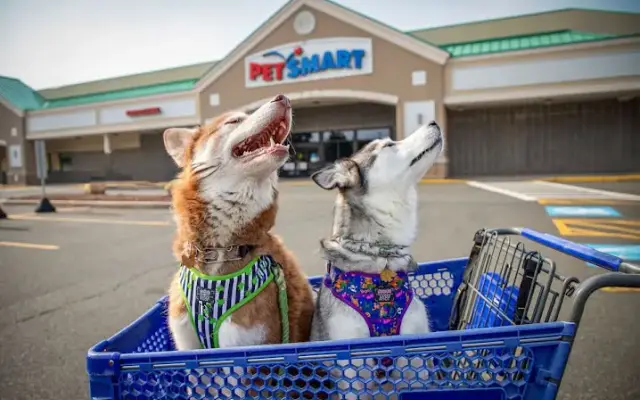PetSmart in Enfield, CT