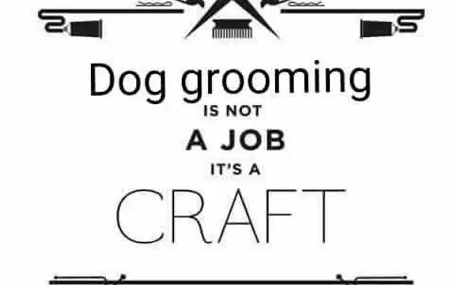 "The Pin Brush" Curbside Pet Styling in Chandler, AZ