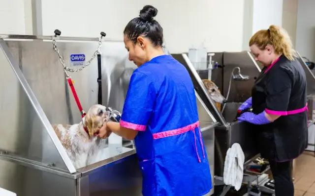 Bath and Bark Grooming in Acworth, GA