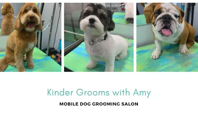 Kinder Grooms with Amy LLC in Lincolnia, VA