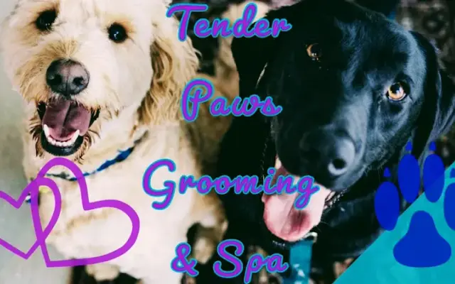 Tender Paws Grooming & Spa in Cibolo, TX