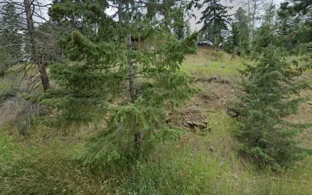 BUBBLES WITH NO TROUBLES in Evergreen, CO
