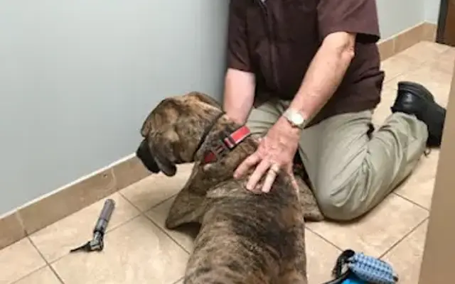 Grand Parkway Animal Hospital in Sugar Land, TX