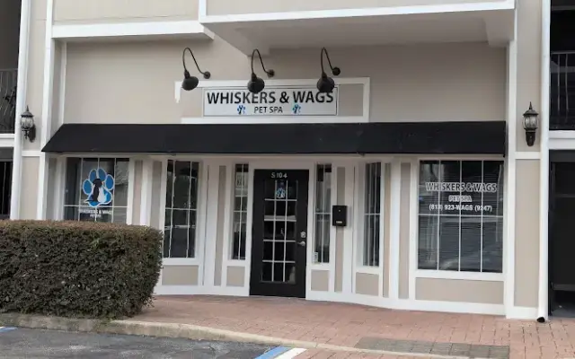 Whiskers & Wags Pet Spa in Plant City, FL