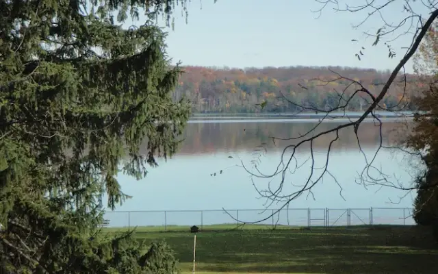 Bokhara Kennels - Traverse City Area in Williamsburg, MI