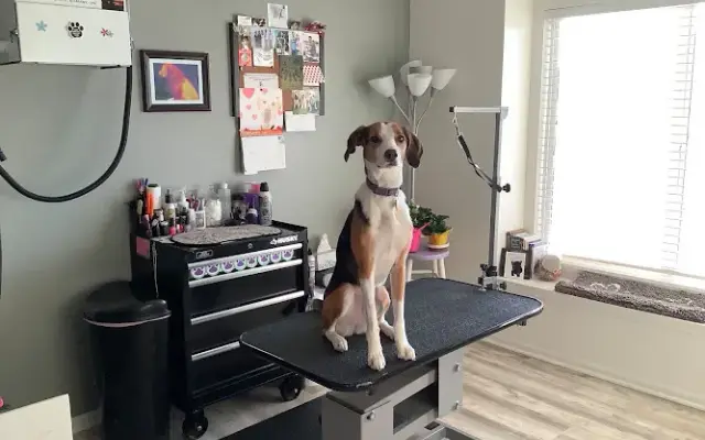 Pampered Pooch S'paw LLC in Lincoln, NE