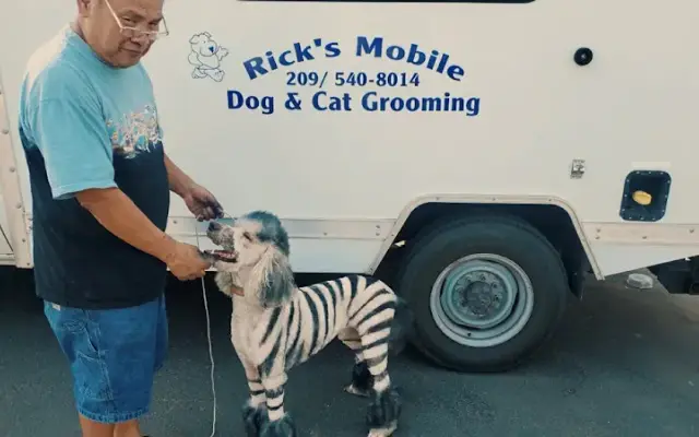 Rick's Mobile Dog and Cat Grooming in Stockton, CA