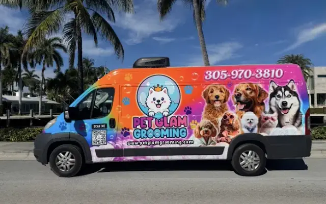 Pet Glam Grooming in Southwest Ranches, FL