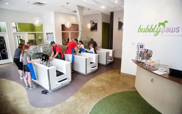 Bubbly Paws in St Louis Park, MN