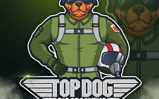 Top Dog 210 Grooming in San Antonio, TX