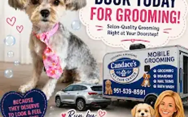 Pawfectionist Moblie Grooming in Riverside, CA