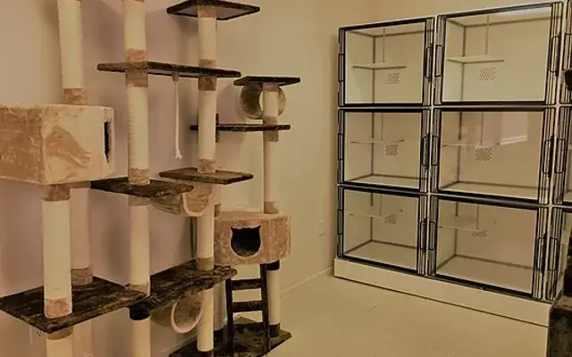 Yuma Pet Hotel and Resort in Yuma, AZ