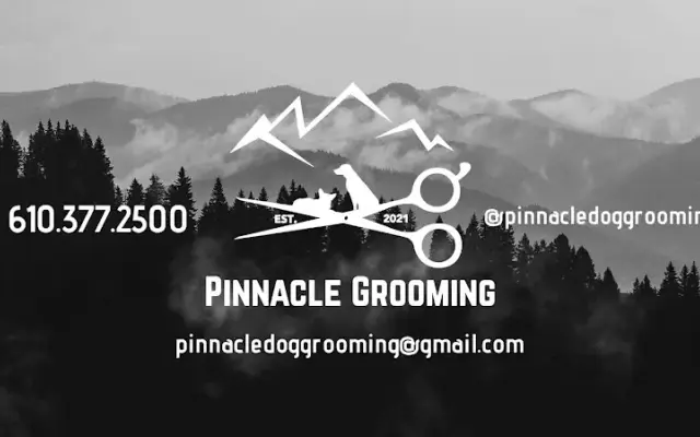 Pinnacle Grooming in Lehighton, PA