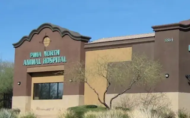 Pima North Animal Hospital in Scottsdale, AZ
