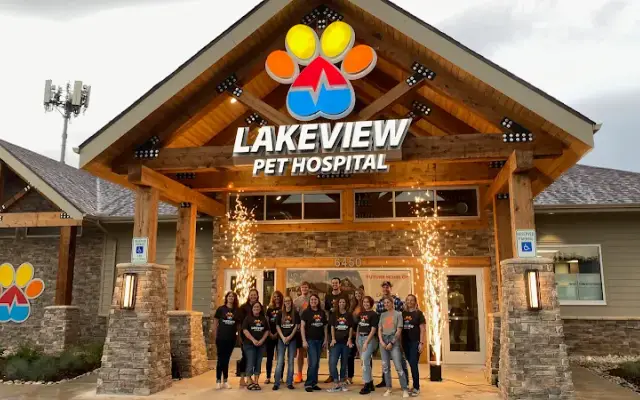Lakeview Pet Hospital in Oklahoma City, OK