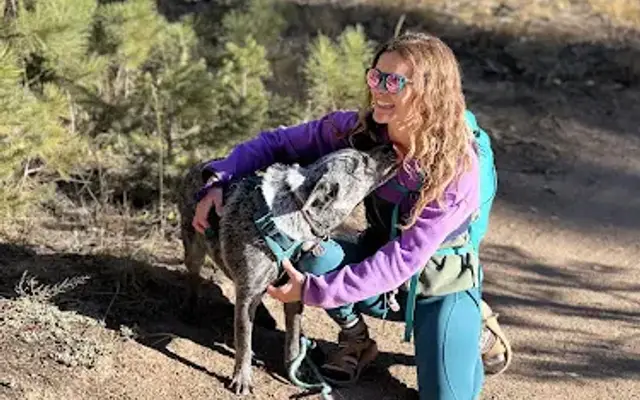 Elevated Dog Grooming in Littleton, CO