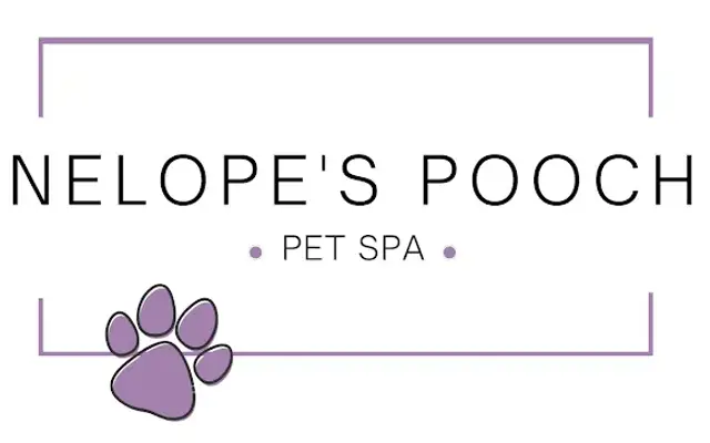Penelope's Pooches LLC in Leesport, PA