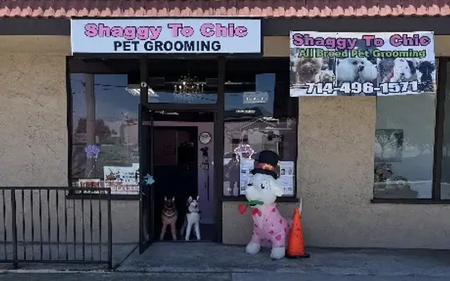 Shaggy To Chic All Breed Pet Grooming in Lake Forest, CA