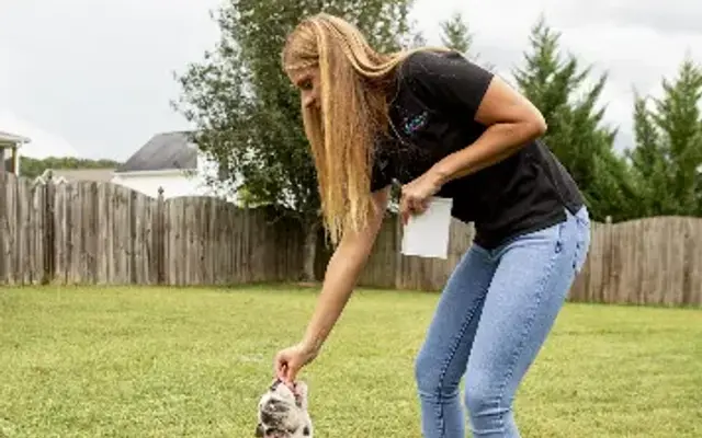 Pawsitive Paradise LLC in Knoxville, TN