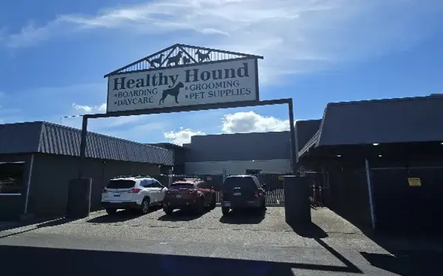 Healthy Hound in Longview, WA