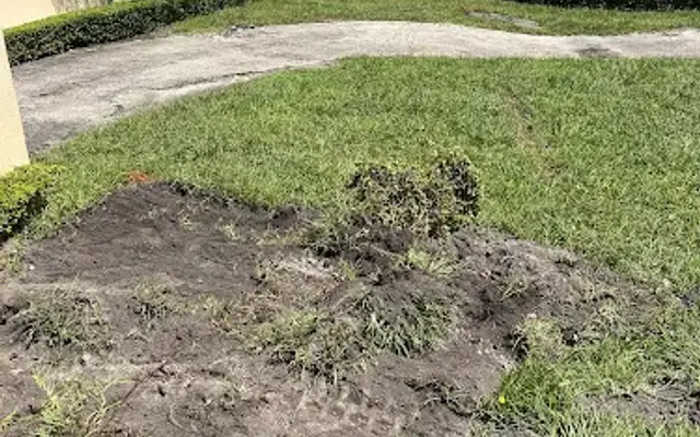 Grooming On the Go in Miami, FL